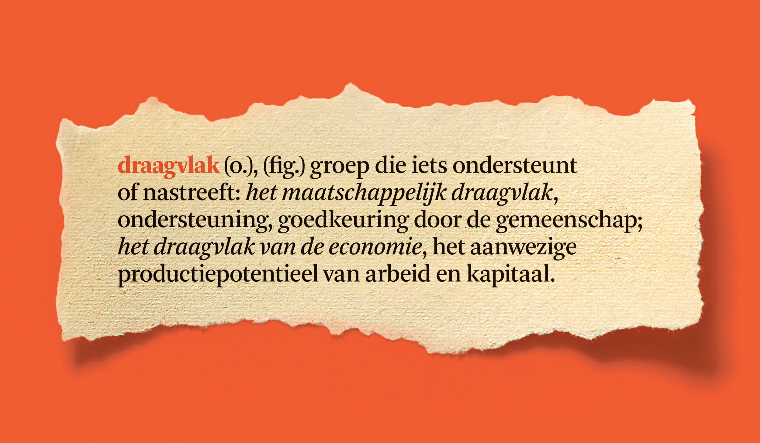 Draagvlak maakt soms meer kapot dan je lief is