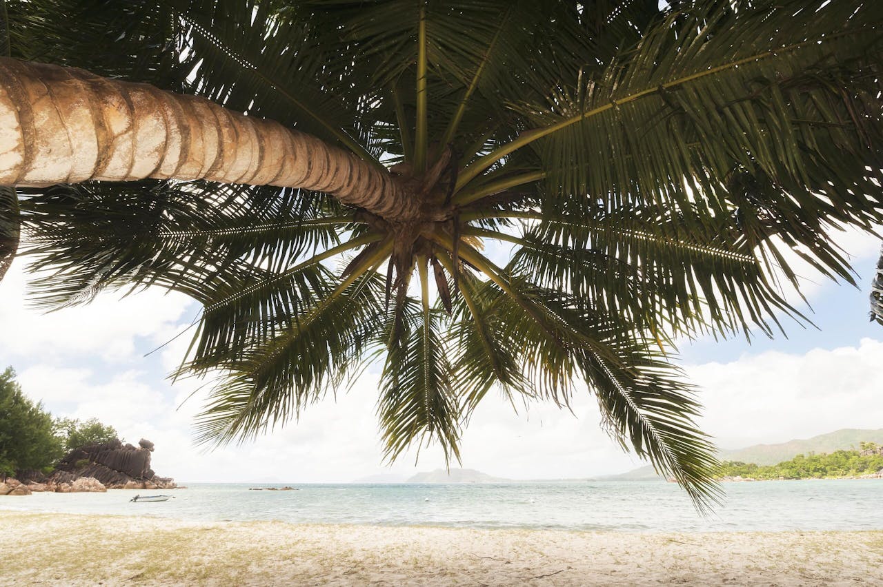 Curieuse, een eiland in de Seychellen. De archipel is een geliefde bestemming van toeristen en brievenbusfirma's.