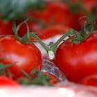 Prijswinnende kasbouwer en luxe-tomatenkweker horen taakstraf eisen