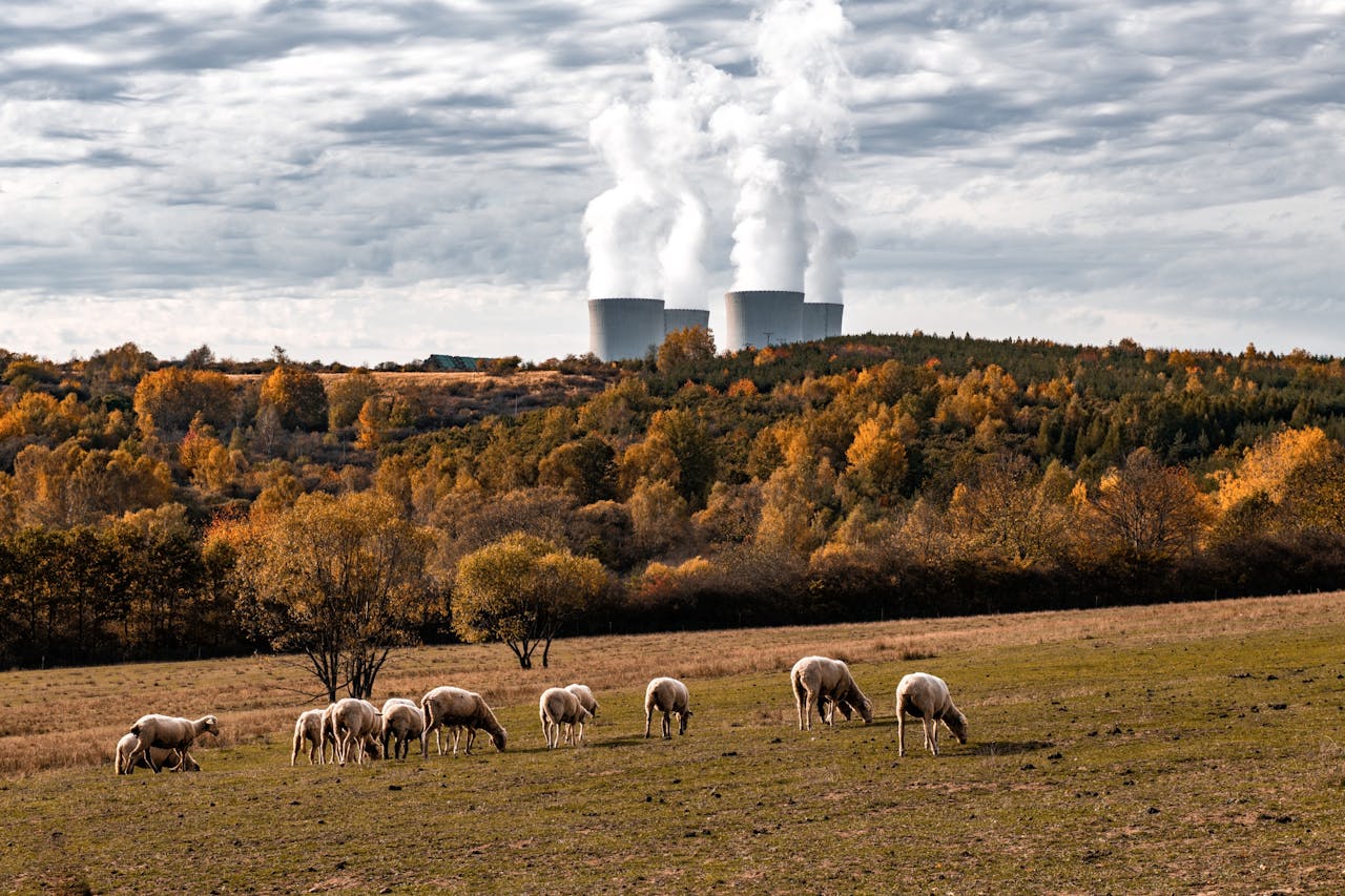 Op vijftig kilometer van de Oostenrijkse grens staat een kerncentrale in het Tsjechische Temelin. Het buurland wil zijn kolencentrales vervangen door kerncentrales omdat die veilig en groen zouden zijn.