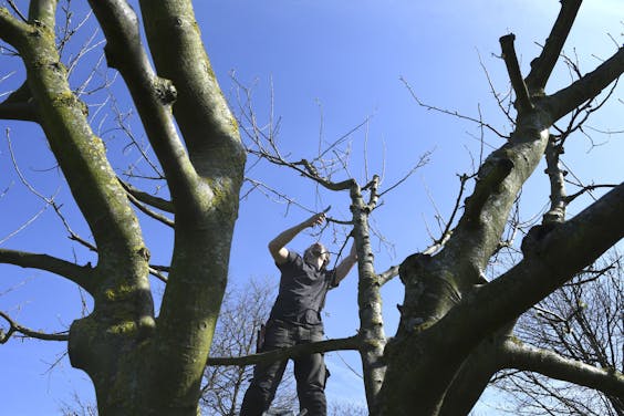Het snoeien in aandelenportefeuilles gebeurt bepaald niet zorgvuldig, blijkt uit onderzoek. Fondsbeheerders kiezen gewoon de uitschieters.