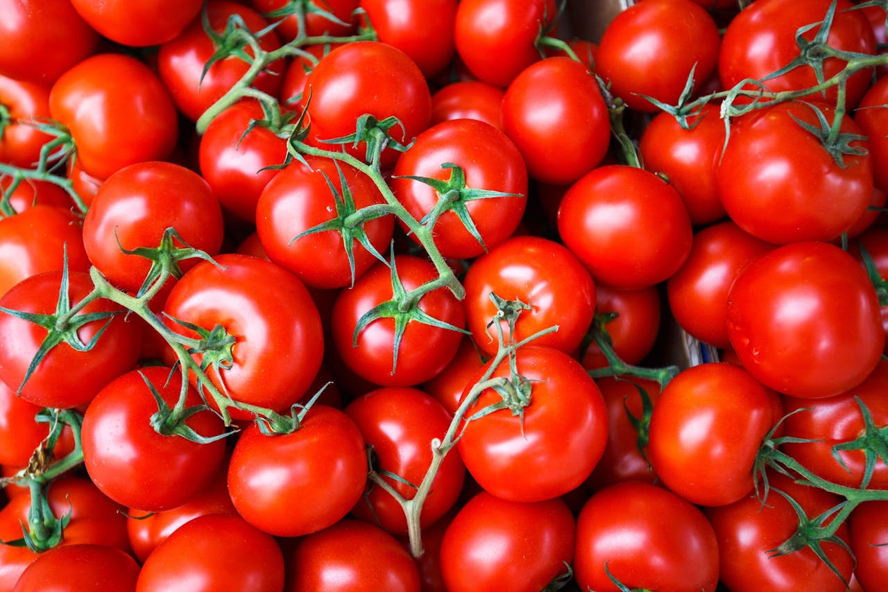 Via de Nederlandse organisatie FresQ streken Westlandse tomatentelers onterecht voor €52,6 mln Europese subsidie op, die Nederland grotendeels weigert terug te geven aan Brussel.