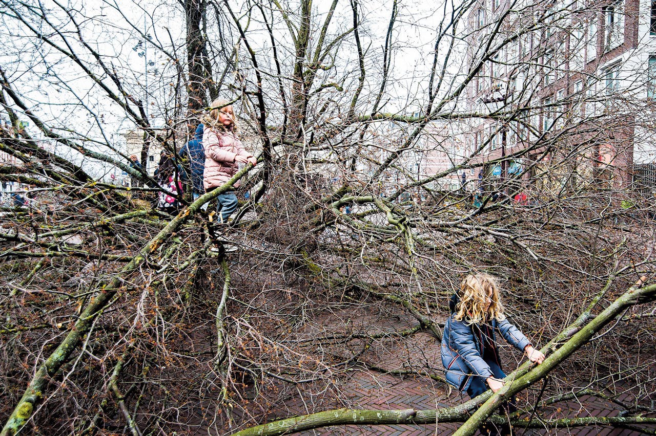 Een boom die tijdens de recente stormen omwaaide op het Haarlemmerplein in Amsterdam, werd door kinderen gebruikt als nieuw speeltoestel.