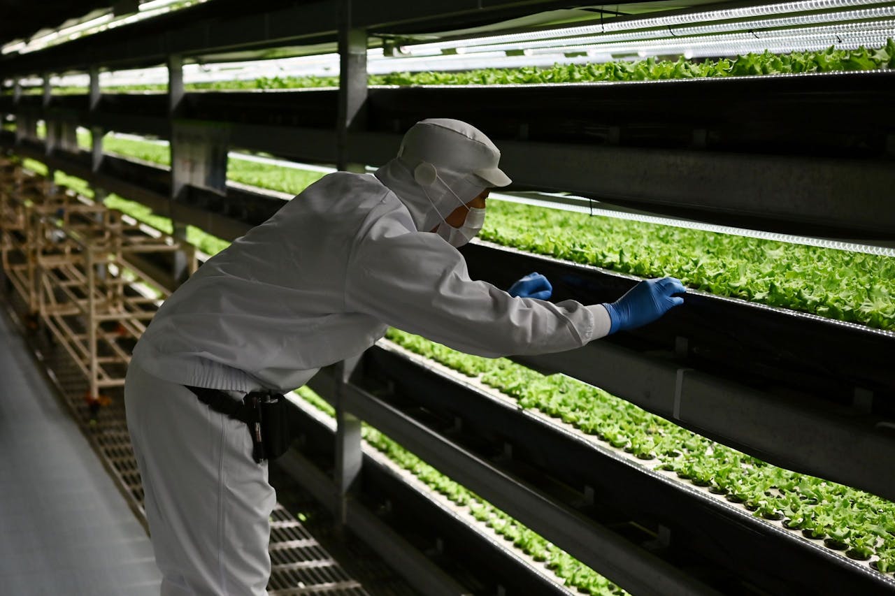 PlantLab ontwikkelde een wereldwijd gepatenteerde technologie voor ‘vertical farming’.