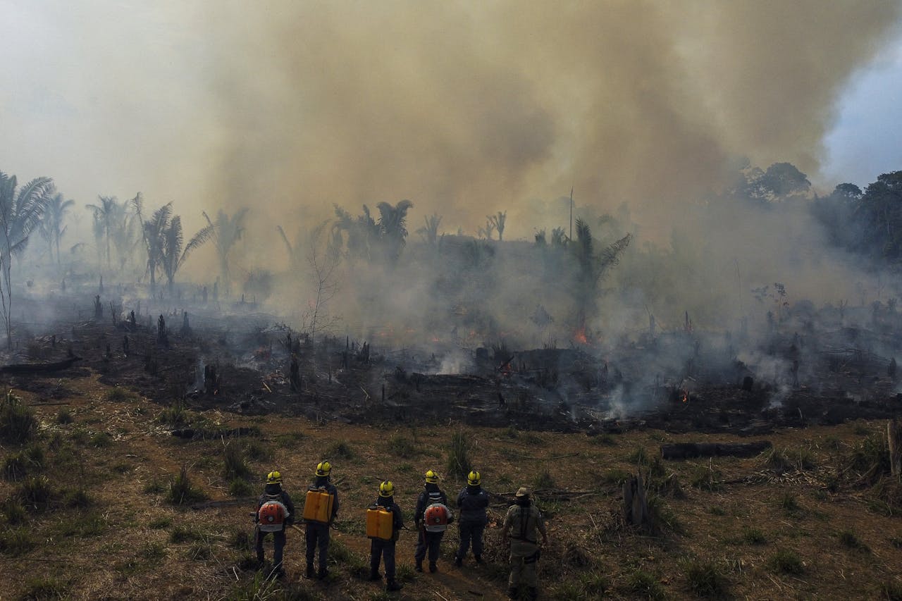 De brandweer probeert een brand te blussen in het Amazonegebied in Brazilië. Er wordt wereldwijd land ontbost, mede voor de veeteelt.