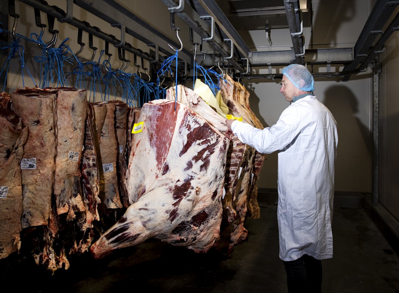 De Bolscher vleesfabriek in Enschede verwerkt koeien van Harry's Farm, een boerderij van de oprichters die ze hebben vernoemd naar hun vader, de grondlegger van de fabriek.