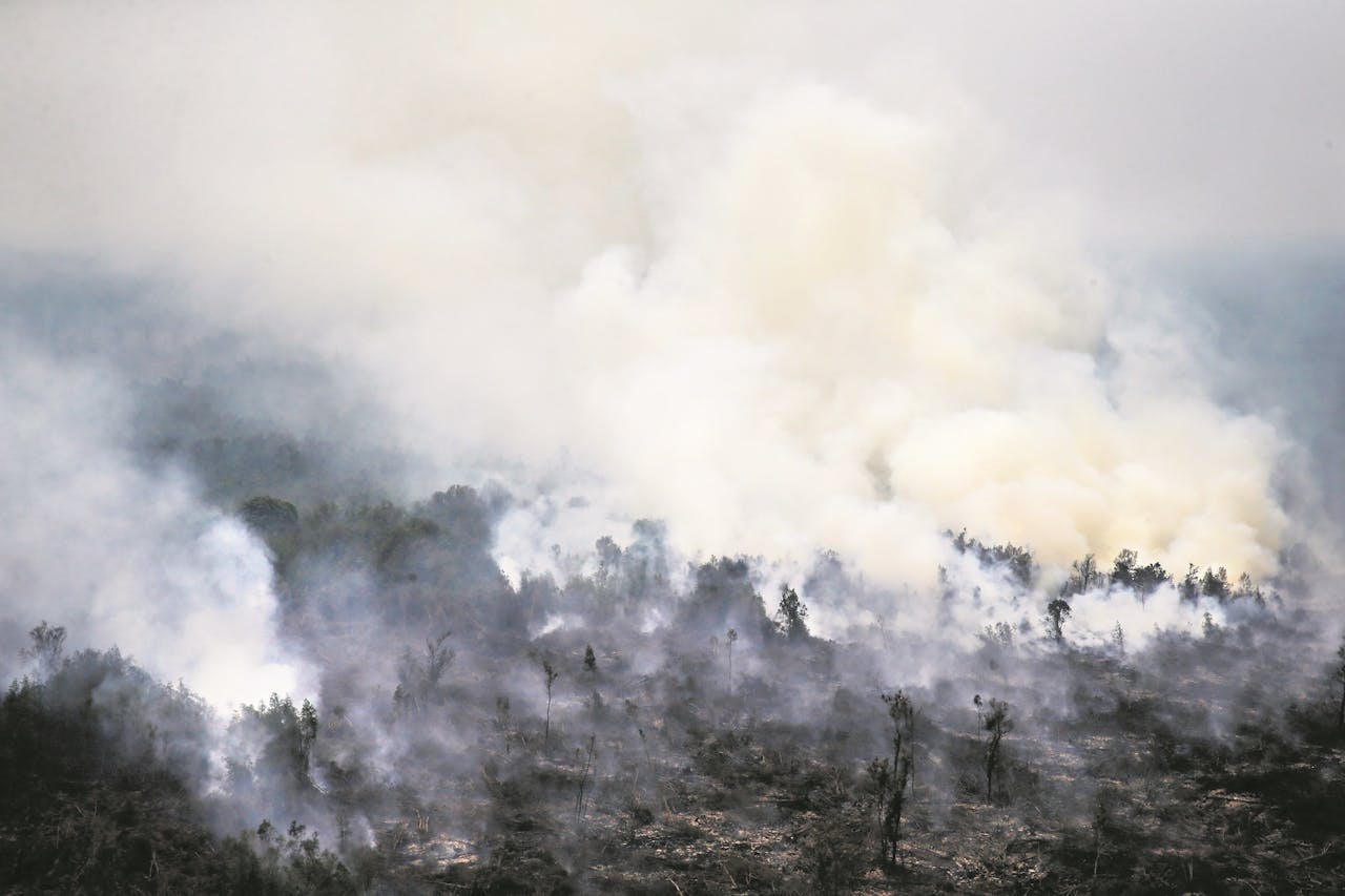 Brandend oerwoud in Indonesië. De jungle moet plaatsmaken voor plantages om aan de vraag naar palmolie te kunnen voldoen.