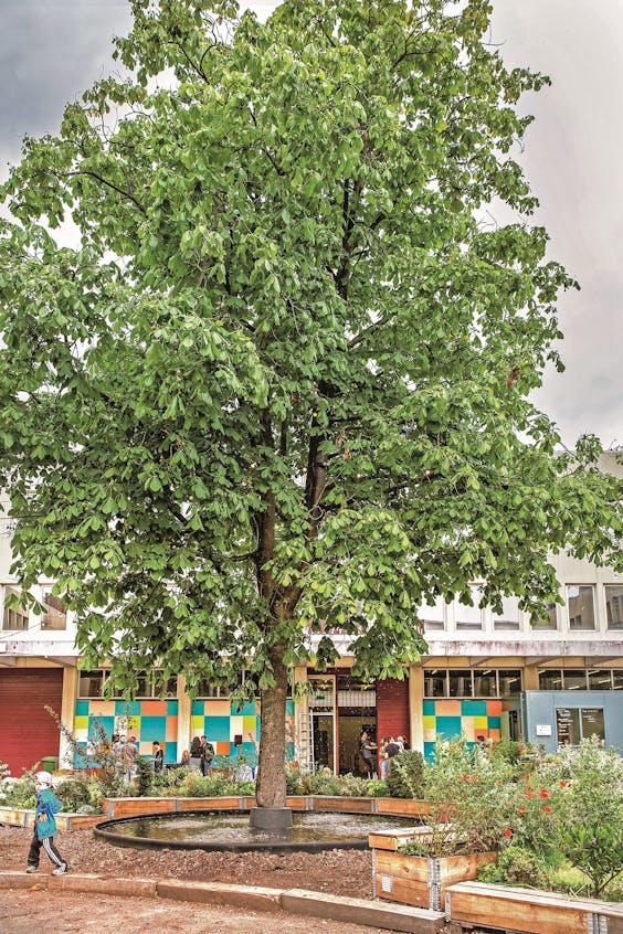 De Bijlmerbajes-boom