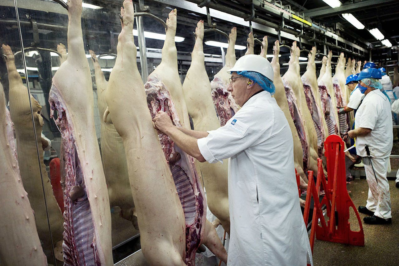 Vion Food Group vestiging in Boxtel. Vleesproducent Vion voorziet in de komende tien jaar een krimp van de veestapel met 20%.