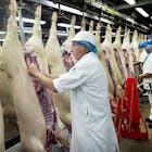 Vleesgigant Vion voorziet 20% krimp veestapel in West-Europa