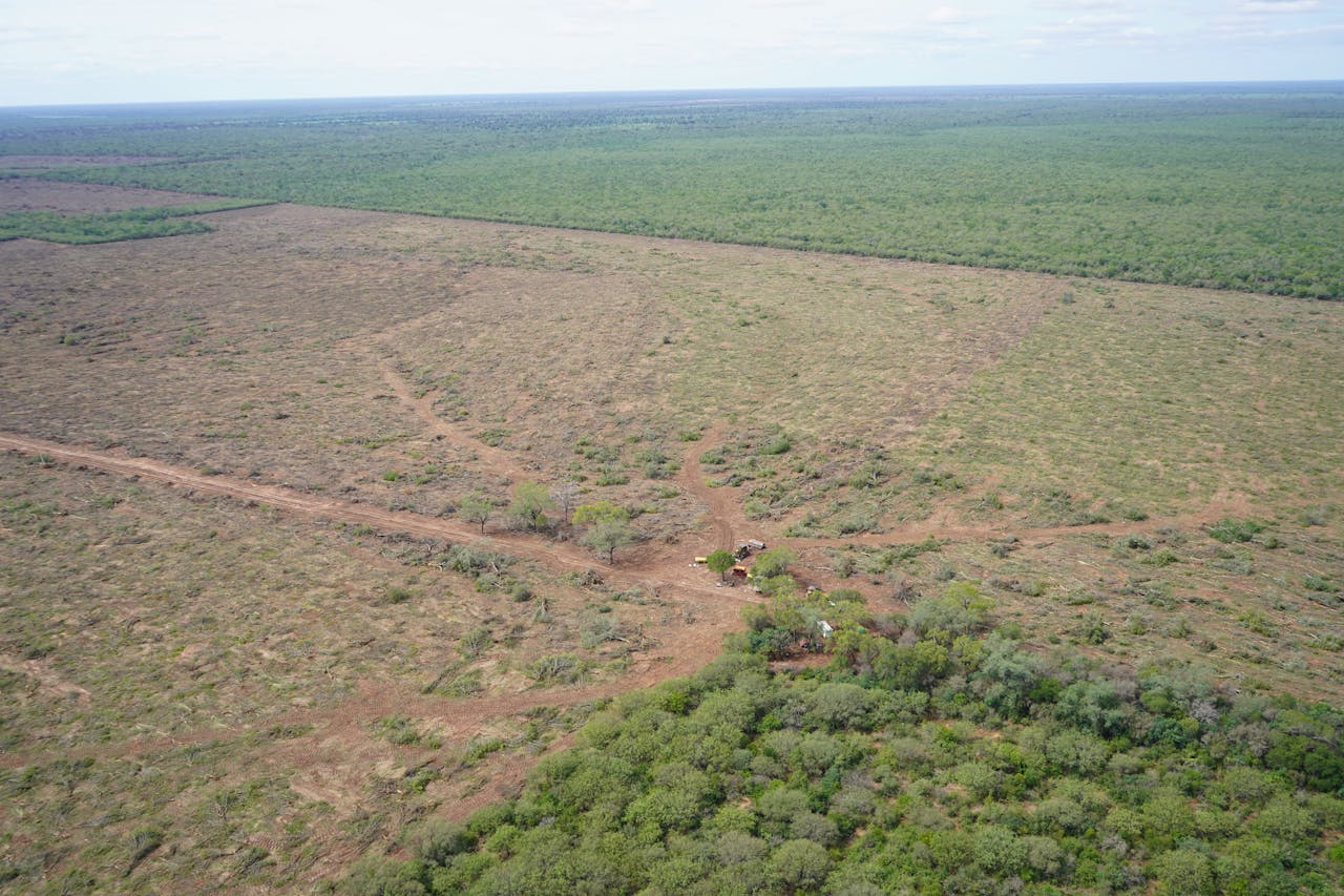 In de Argentijnse provincie Formosa wordt 30.000 hectare per jaar ontbost ten behoeve van veeteelt. De natuur maakt deel uit van de Gran Chaco, Zuid-Amerika's grootste ecosysteem na de Amazone.