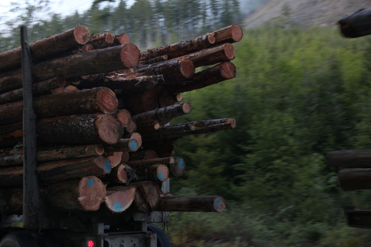 Een truck met hout in de buurt van Cowichan Lake in Canada.
