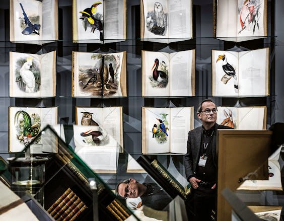 De stand van Shapero Rare Books uit Londen waar vorig jaar de vogelboeken, 1831-1888, van de Brit John Gould werden getoond (foto: Hollandse Hoogte).