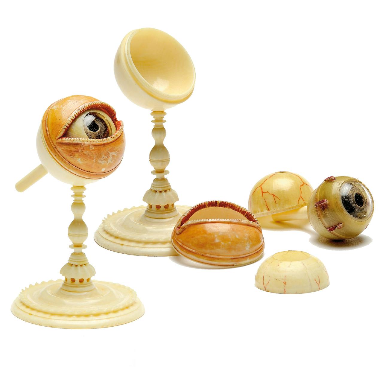 Stephan Zick: Model van een oog Ivoor, been, glas, 7 cm hoog, 4 cm breed, ca. 1680 Aangekocht door Museum für Kunst und Gewerbe in Hamburg.