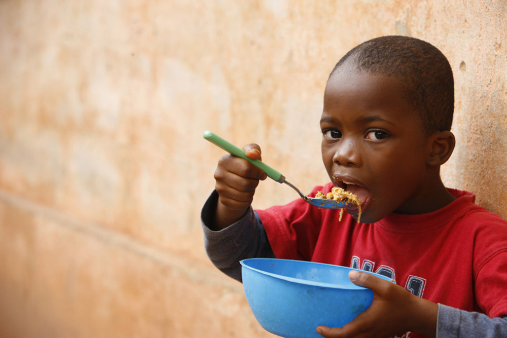 Buzz van die klein wereld afrikaans edition