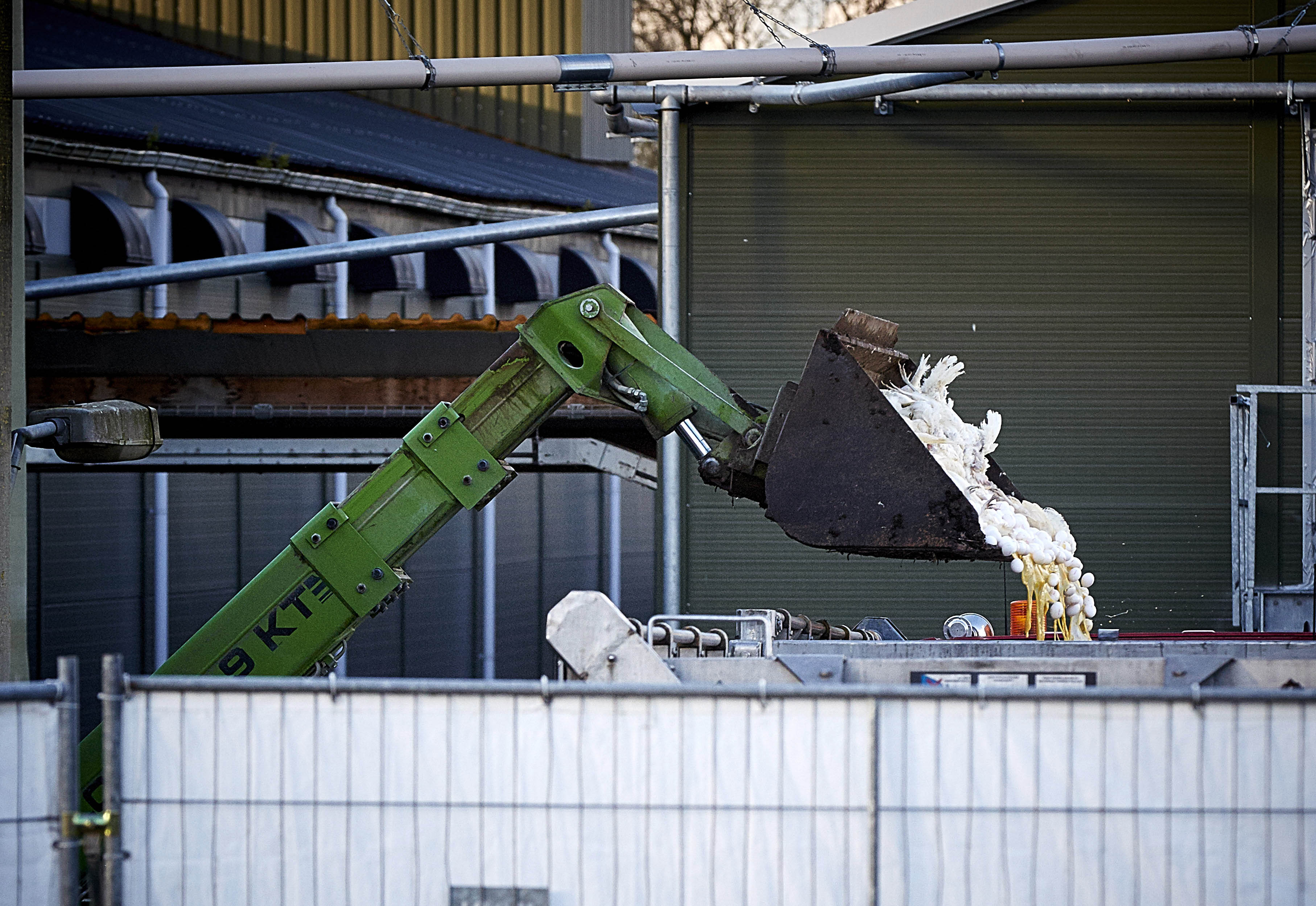 Start ruiming in Hekendorp