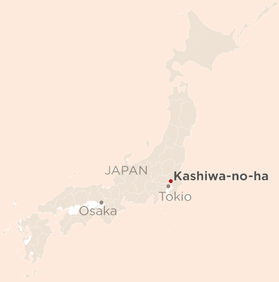 Japans Vernuft In Een Onwerkelijke Omgeving
