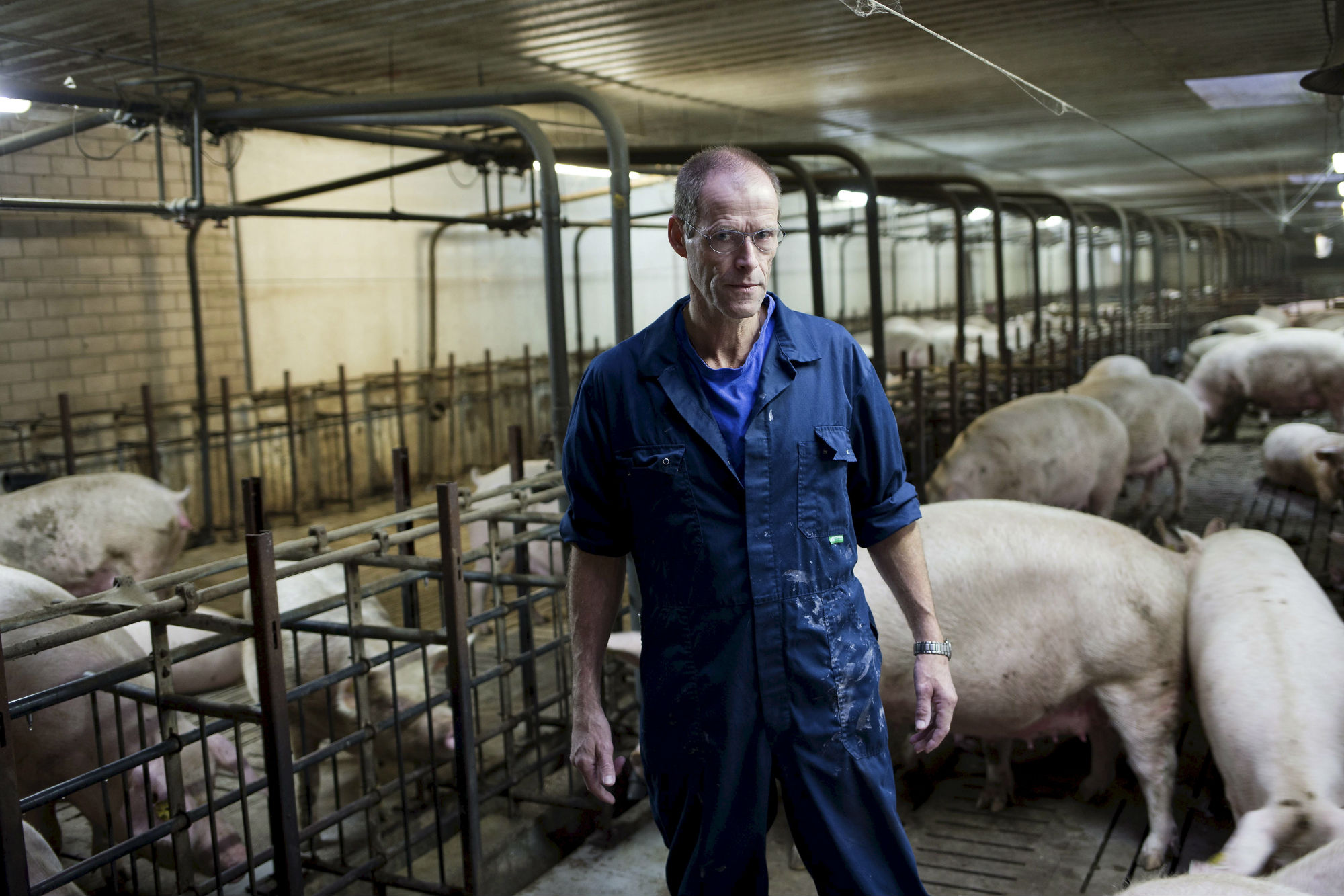 Afbeeldingsresultaat voor Adriaan Straathof