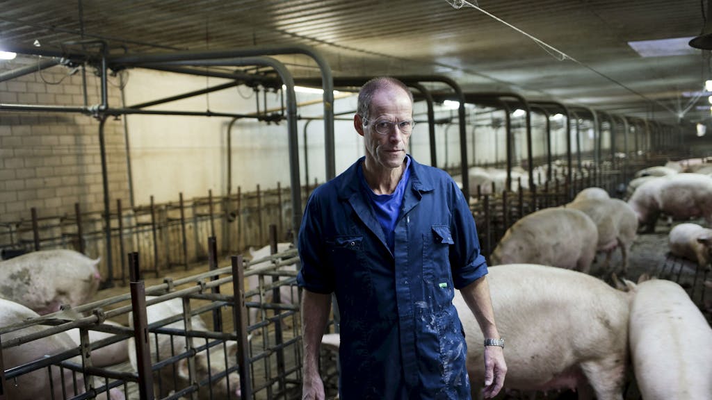 Afbeeldingsresultaat voor Adriaan Straathof