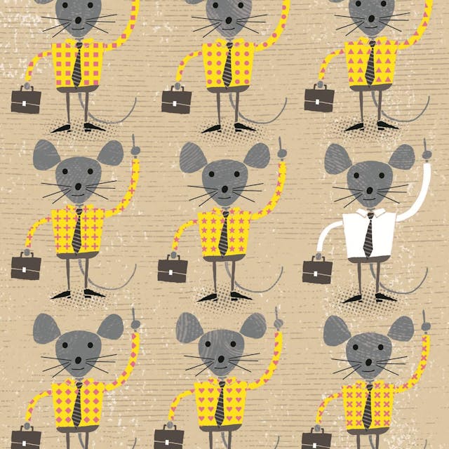 Hoe Zorg Ik Dat Mijn Cv Gelezen Wordt