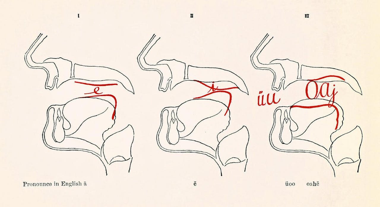 Het geluid dat door het samenknijpen van de stembanden ontstaat, wordt door lippen, keel, tong en gehemelte omgezet in een klank.