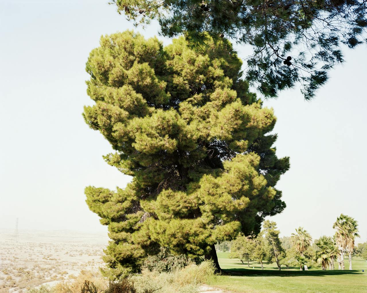 ‘Edges of the Experiment | Taft (CA)’, 2008. De water-rekening van het golfterrein rechts loopt jaarlijks in de tonnen.