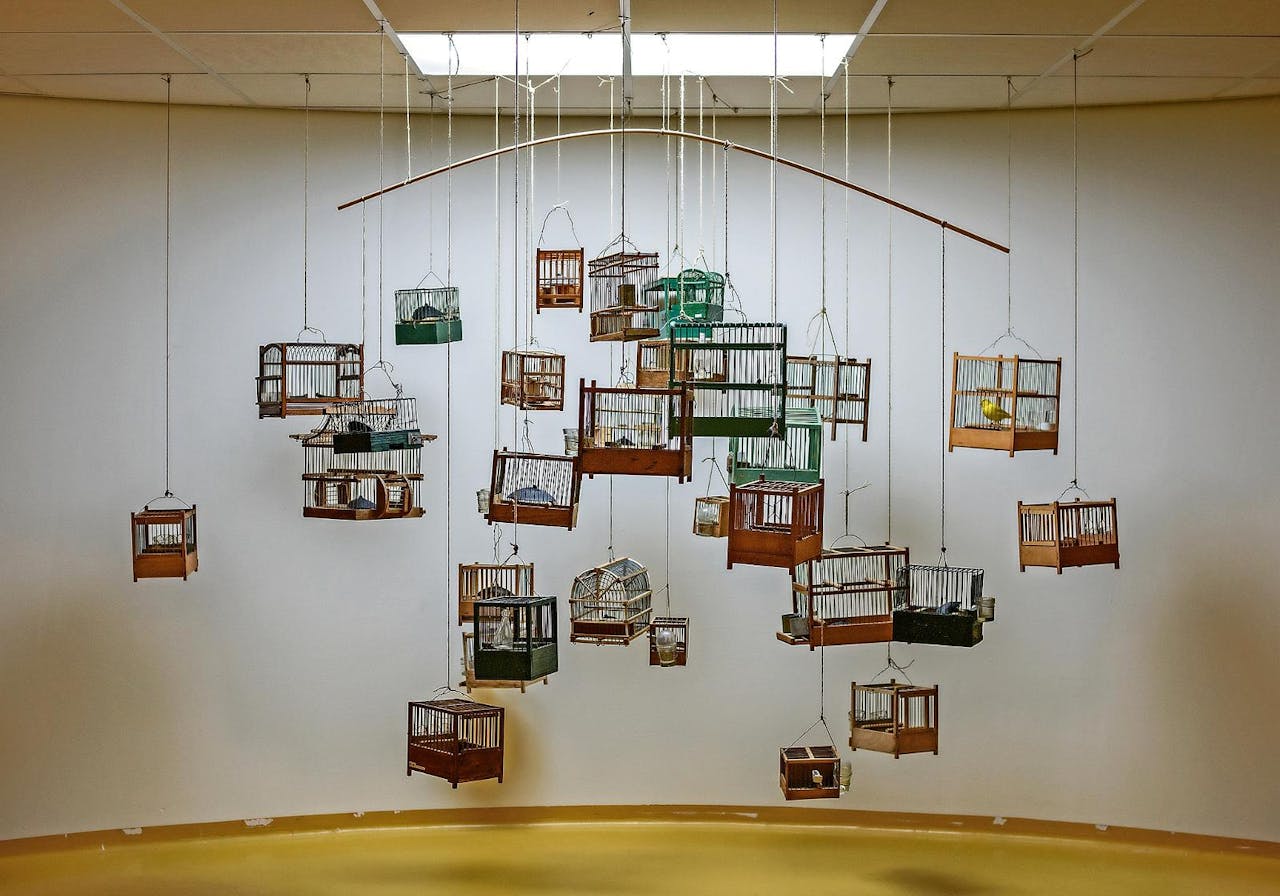Installatie van Claire Pentecost ‘For the Body without Organs to Sense’ (2014), met 31 kooitjes en één levende kanarie. In de kooitjes zitten borsten gemaakt van bruinkool.