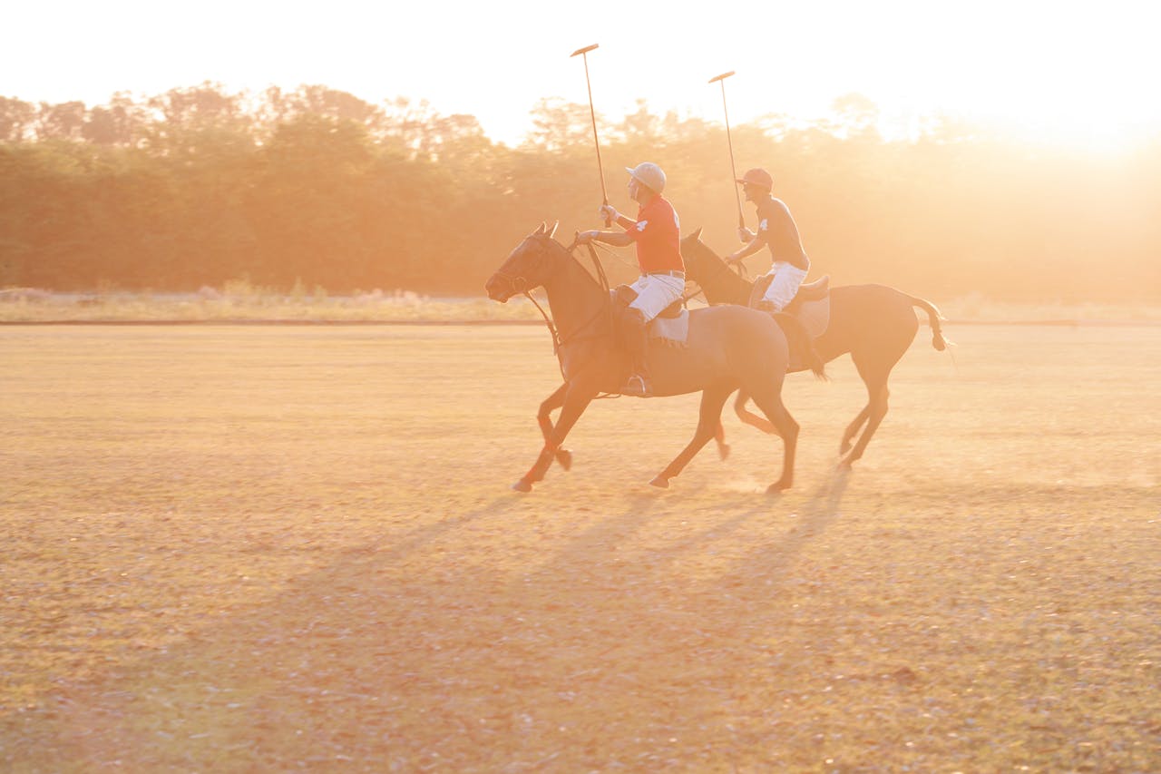 Polospelers in actie. Het kan er hard en driftig aan toe gaan in het polospel.