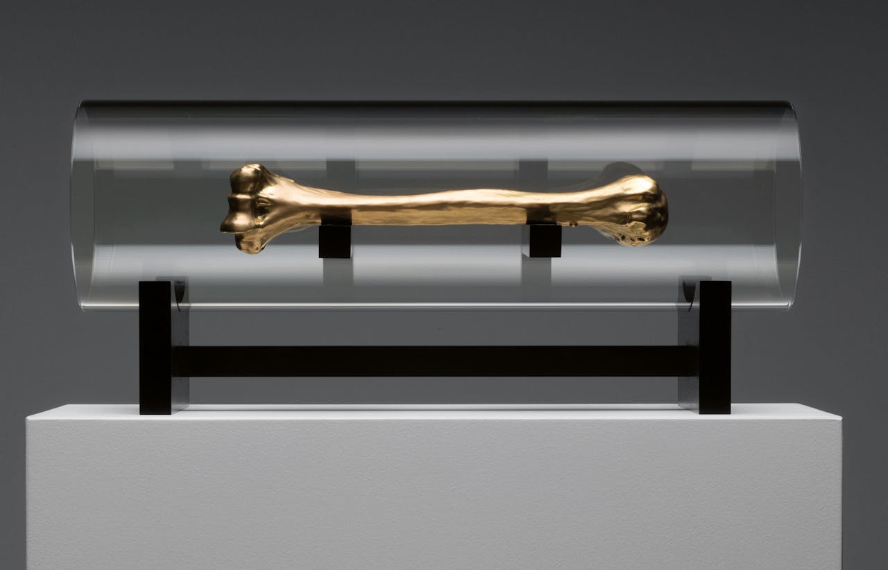 Voor ‘Skeleton/Self-portrait 20’ (2012) heeft Caspar Berger zijn eigen bot laten scannen, er een 3D-kopie van gemaakt, en daarvan weer een siliconenmal. Dit afgietsel is van 18-karaats goud.