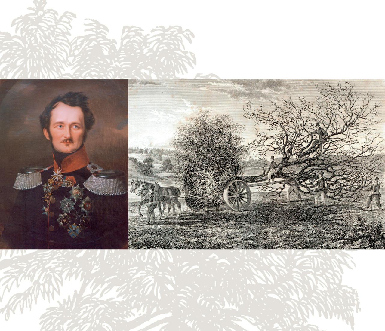 Hermann von Pückler-Muskau. Rechts: afbeelding van de bomenverplaatsmachine, uit de 19de-eeuwse ‘Planter’s Guide’.