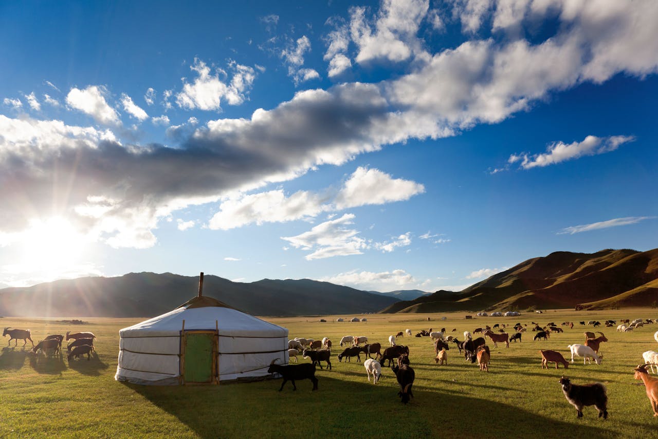 Een joert op een weidse vlakte in Mongolië.