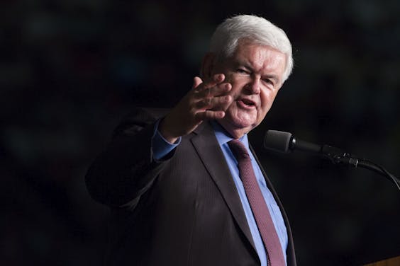 Newt Gingrich. foto: HH