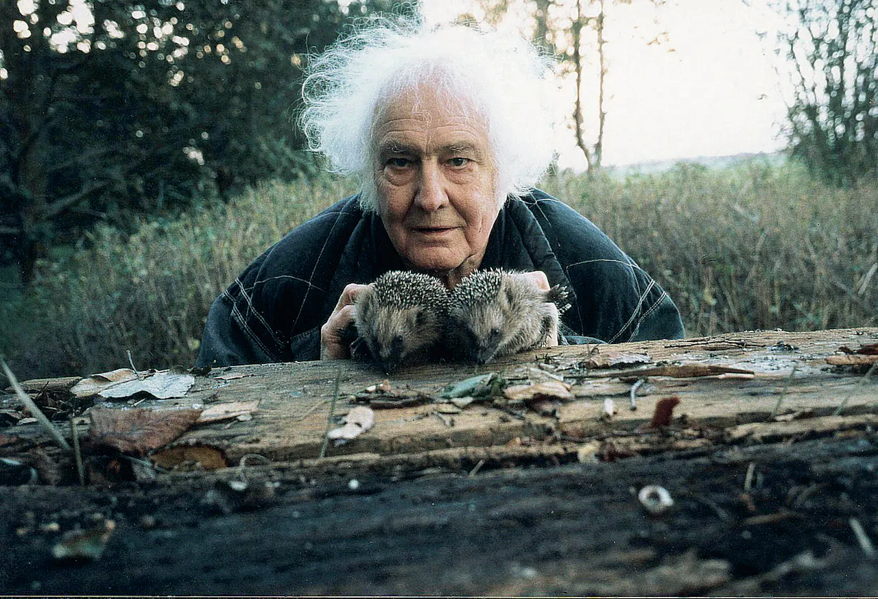 De waarde van Wolkers