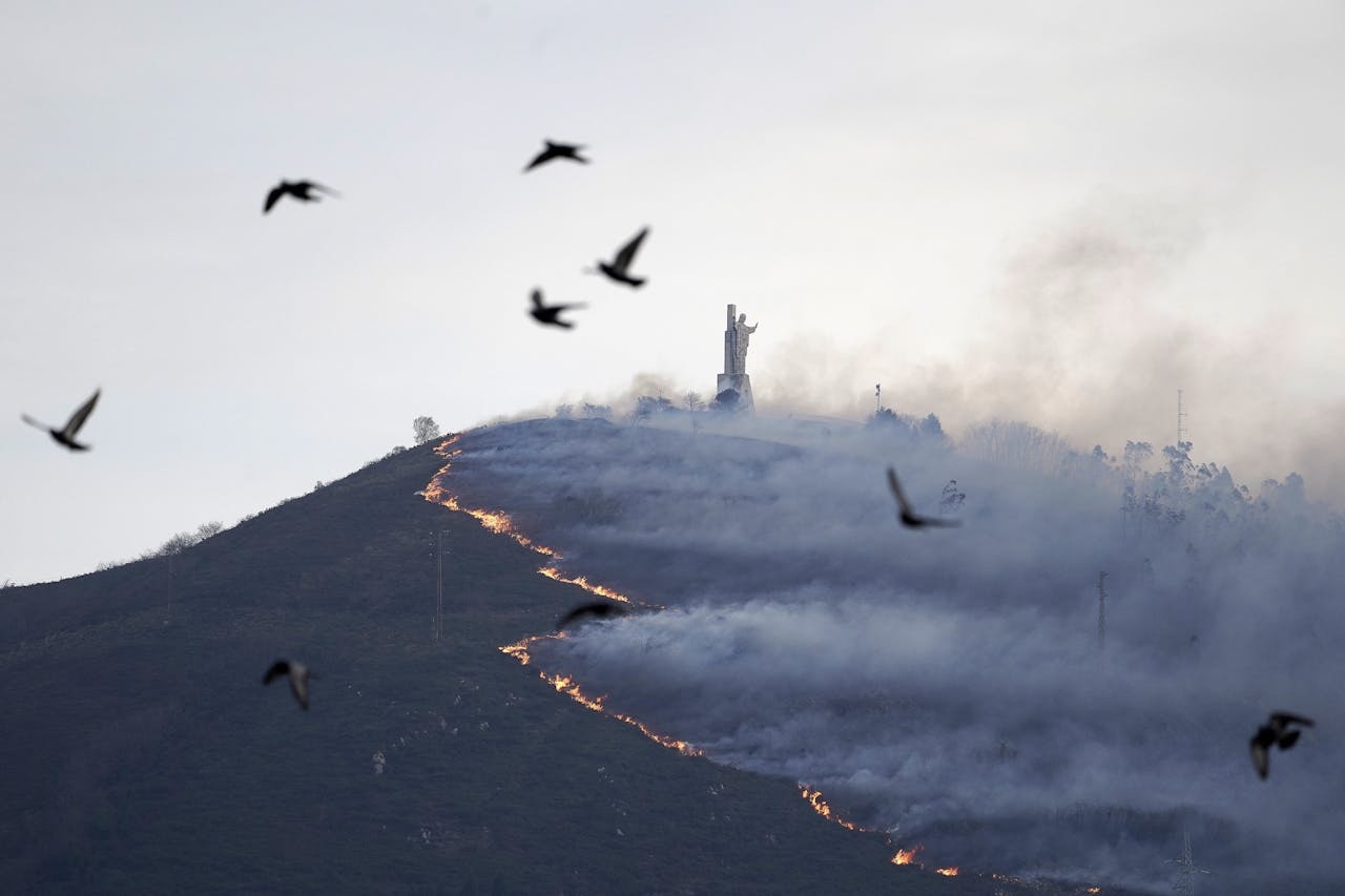 Op veel plaatsen in Spanje zijn dit jaar al bosbranden geweest, zoals in Asturië (foto), een regio in het noordwesten.