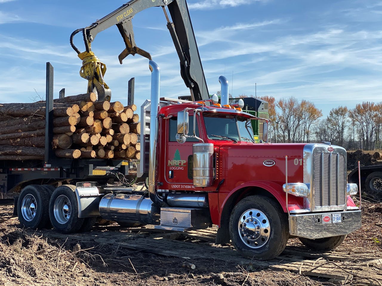Een vrachtwagen van het Amerikaanse bosbouwbedrijf Neuse laadt gekapte bomen. Het grootste deel van het bos gaat naar de houtindustrie, een klein deel naar biomassabedrijf Enviva.