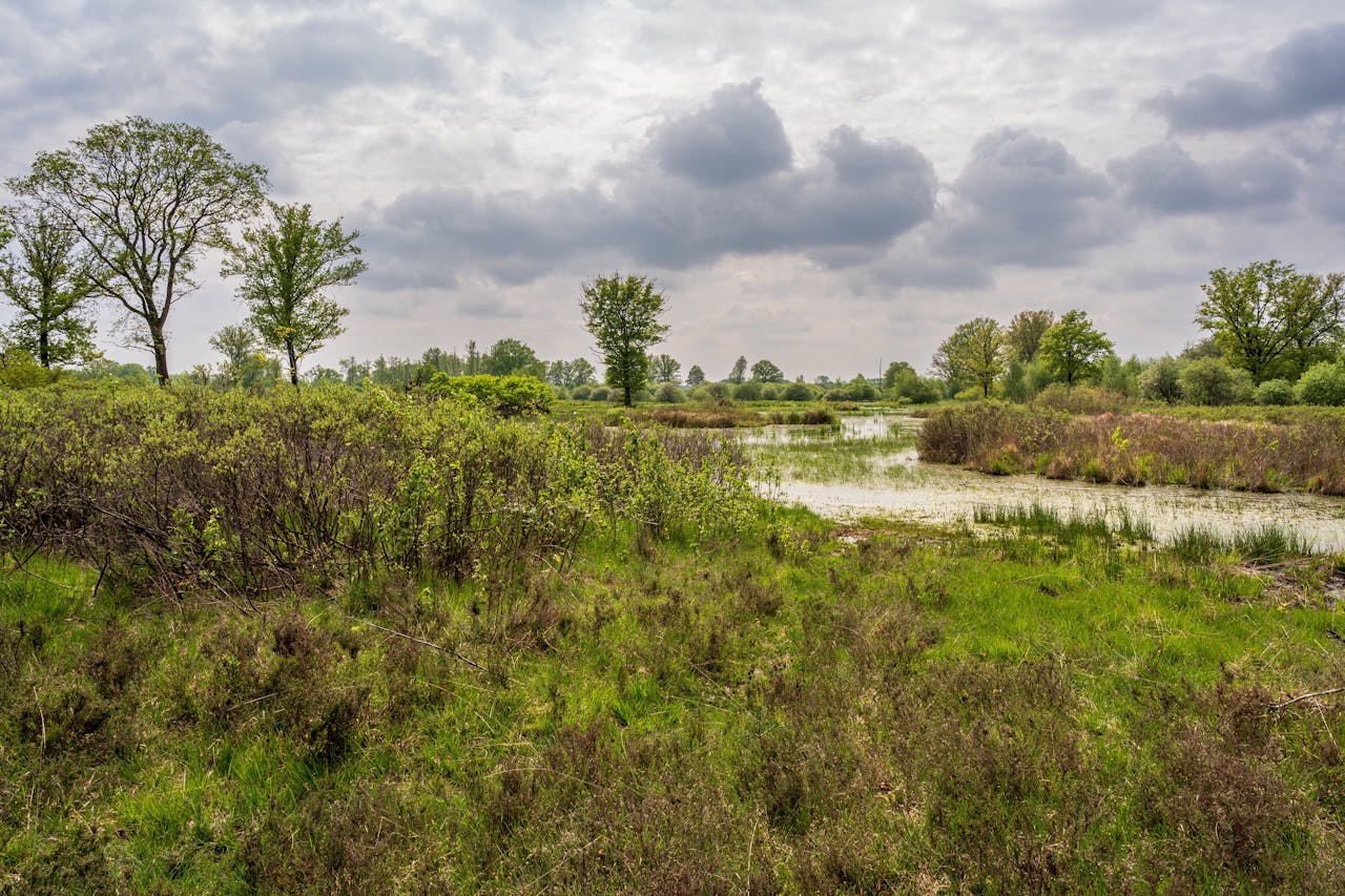 In het natuurgebied de Empese en Tondense Heide werken de Provincie Gelderland, het waterschap Vallei en Veluwe en omwonenden aan natuurontwikkeling en natuurherstel.