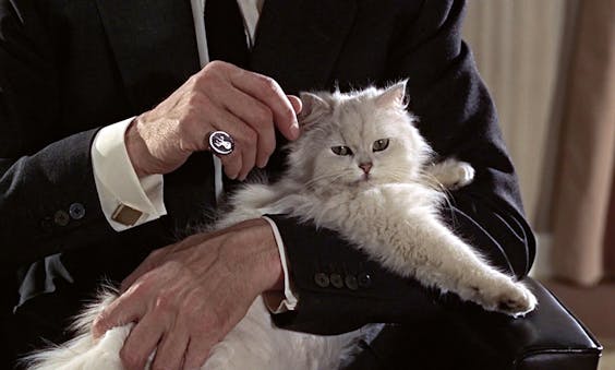Ook elke keer van de partij: Blofelds witte Perzische kat;