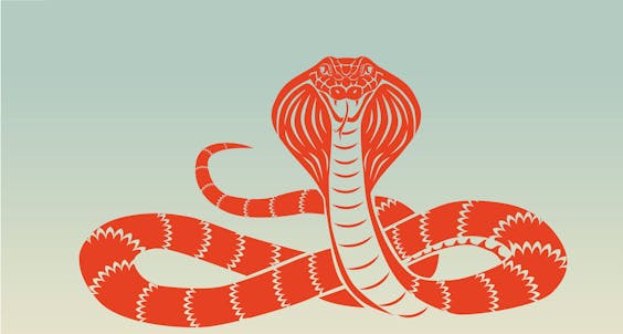 'Er is geen moment te vinden waarop de maat vol is. Alles gaat geleidelijk en ineens ben je er.'