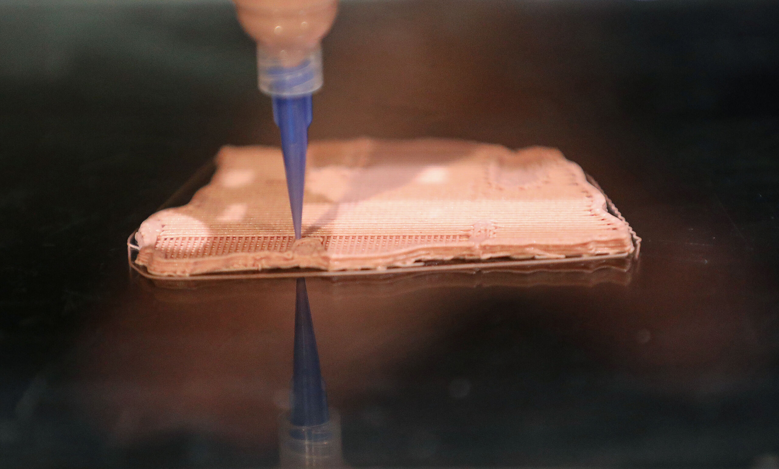 I carnivori spagnoli si mangiano a vicenda crudi