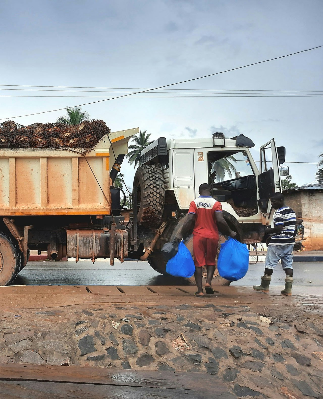 Een man stapt in een vrachtwagen van Golden Veroleum, volgeladen met palmolievruchten.