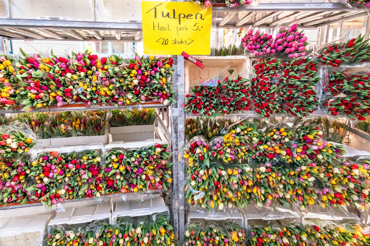 Bloemenbedrijf tulpenexporteur fuseren tot bedrijf met €400 omzet