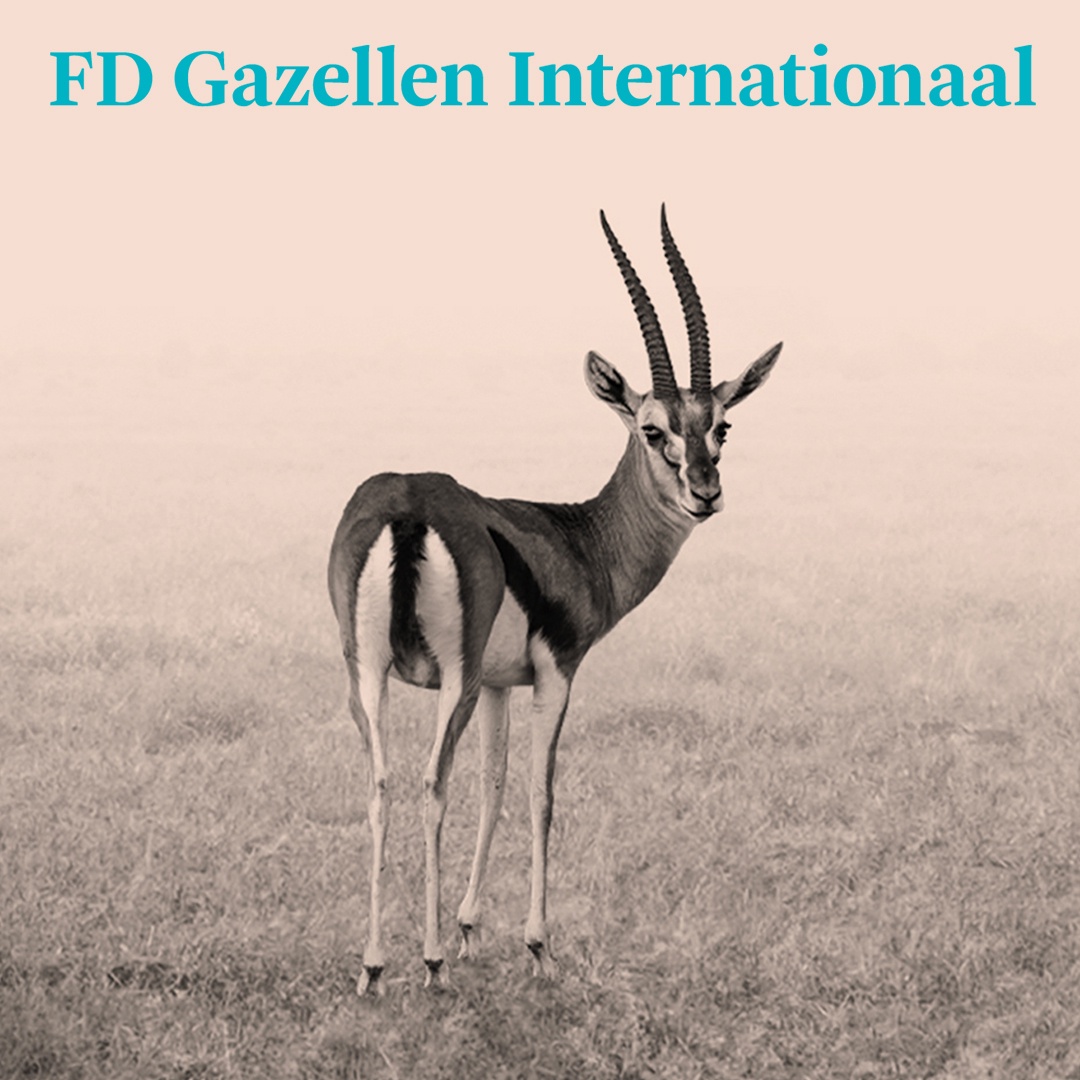 Gazelle prijs clearance