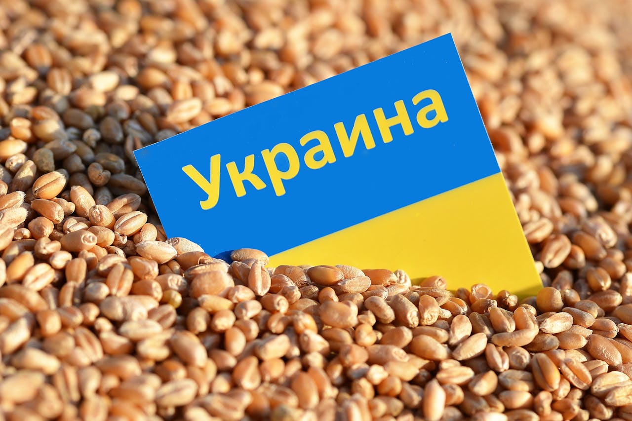 Oekraïense granen.