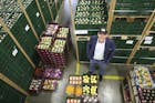 Grootste avocadohandel van Europa zint alweer op uitbreiding