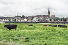 Nijmegen moest en zou de groenste stad van Europa worden