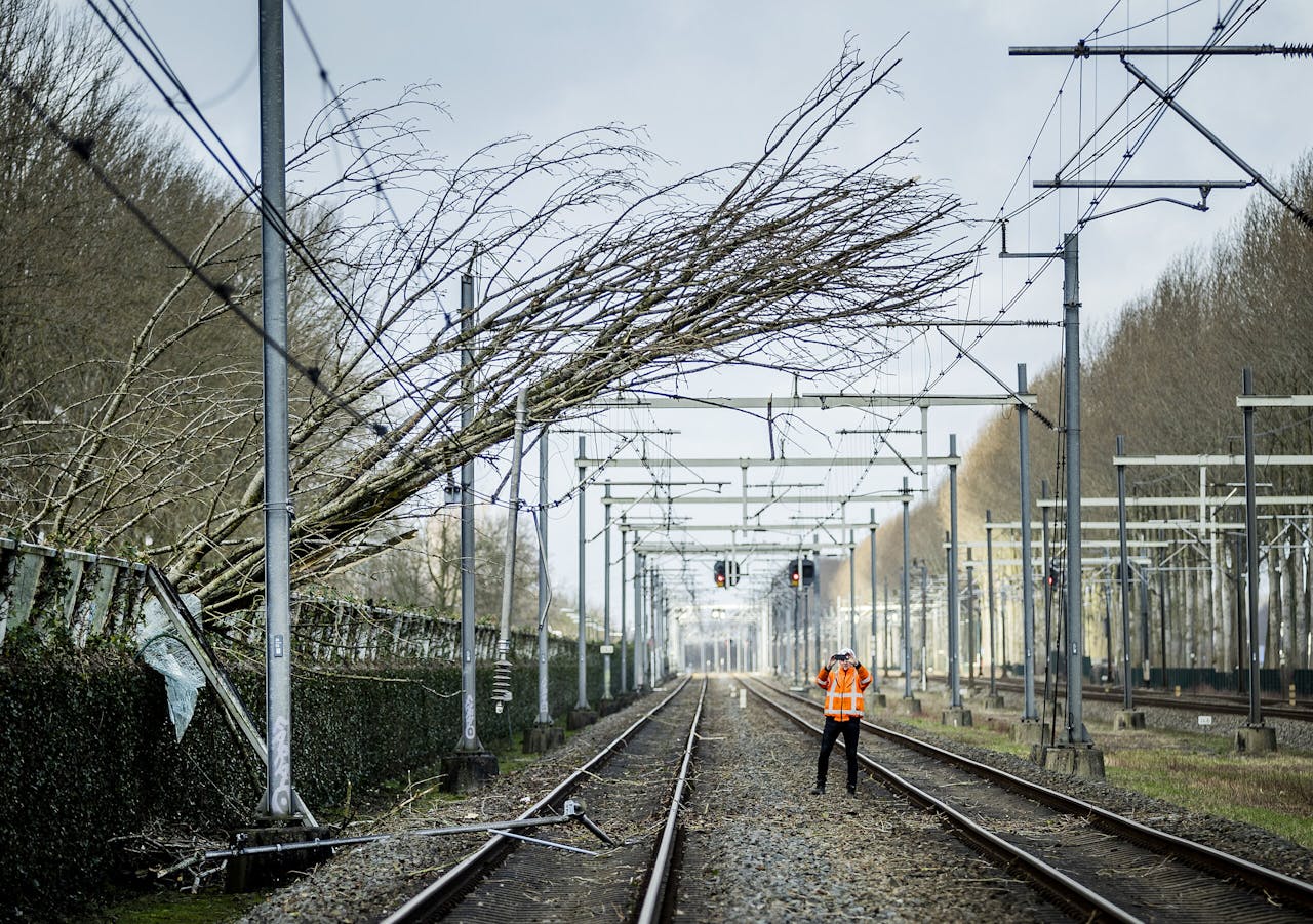Een omgevallen boom zorgt ervoor dat er herstelwerkzaamheden moeten worden verricht, bij een bovenleiding van het spoor in het Utrechtse Maarssen.