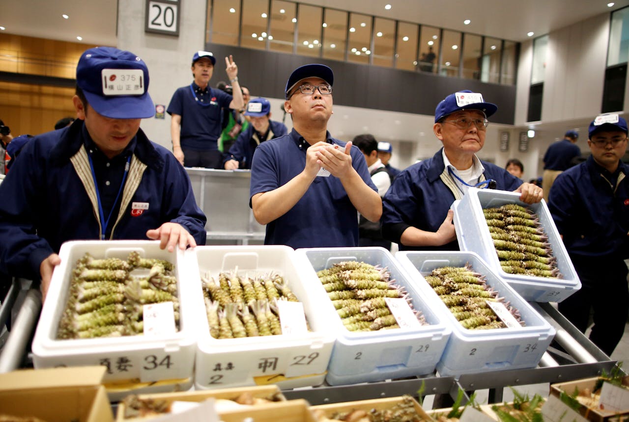 Geraspte mierikswortel staat in Japan bekend als wasabi. Beter niet langdurig toepassen in een kompres.