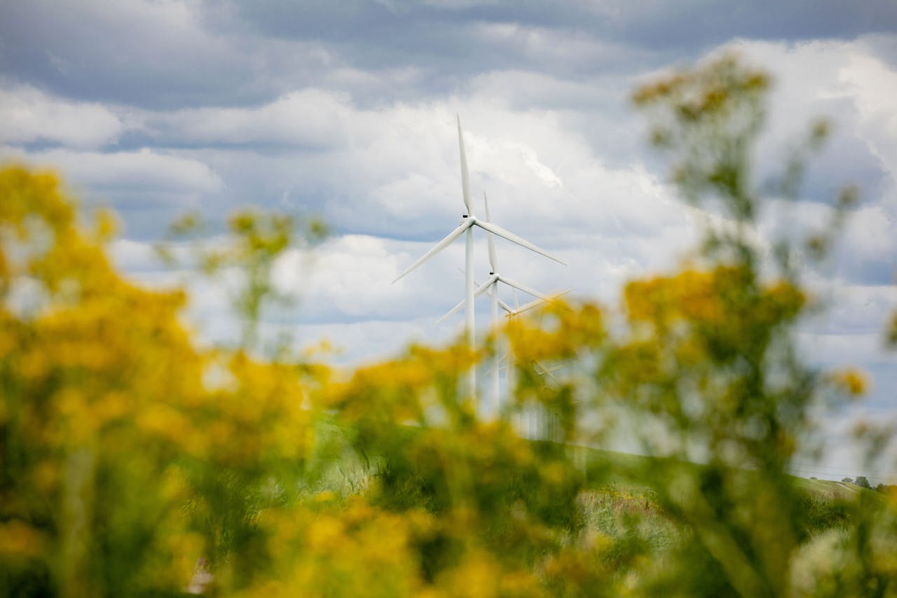 Windmolenparken worden geschaard onder 'duurzame beleggingen'.