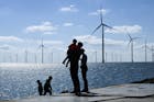 Windparken maken monsterwinsten, is subsidie nog wel nodig?