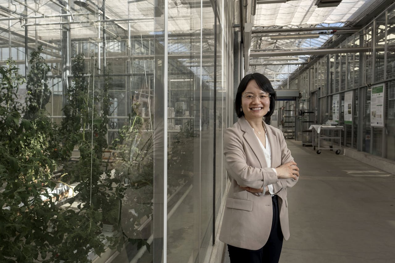 De Chinese Congcong Sun werkt als ingenieur informatica en automatische besturing mee aan een project om hightech landbouw groener te maken.
